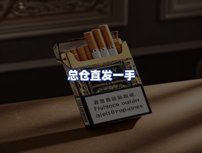 专业团队